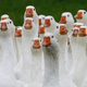 Image for article titled Six Men Needed To Subdue Statue-Loving Goose • Human-like Species Discovered In Siberia